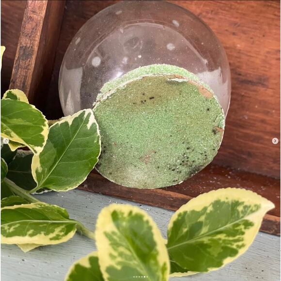 Vintage Round Glass Diorama Ornament Reindeer Bottlebrush Trees Mica MISSING CAP - Picture 5 of 6